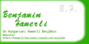 benjamin hamerli business card