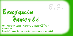 benjamin hamerli business card